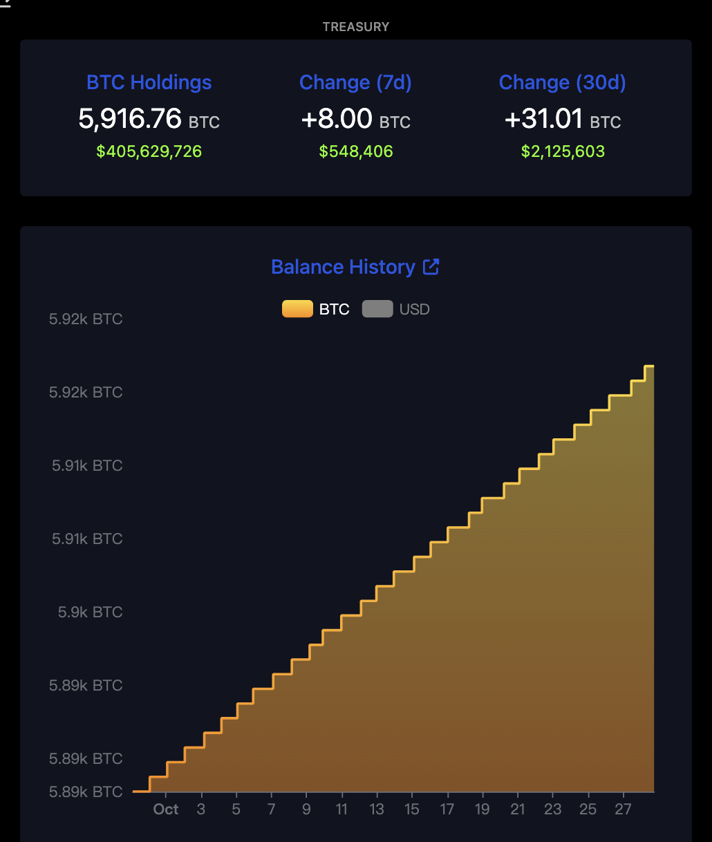 全球央行關注！比特幣潛力太高，有望成全球新儲備資產？