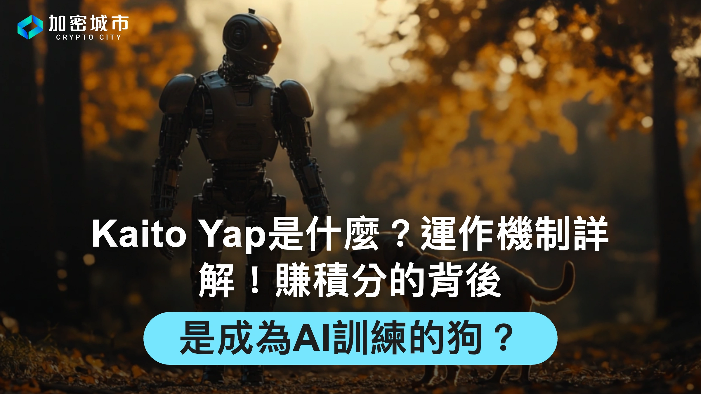 Kaito Yap是什麼？運作機制詳解！賺積分背後，是成為AI訓練的狗