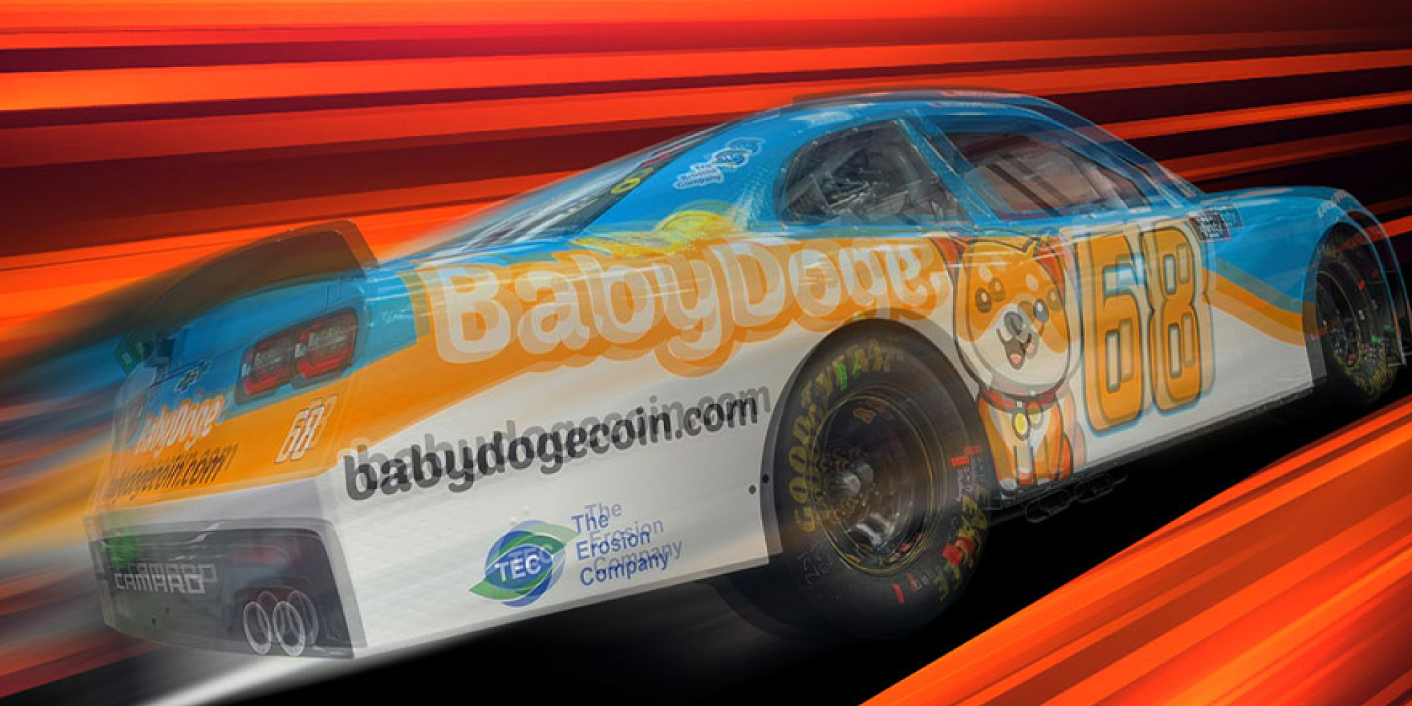 Minidoge elon musk (55) 사진