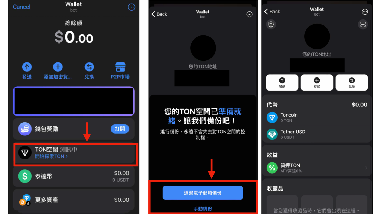 TON 錢包使用教學！3 大錢包介紹：怎麼買TON 幣？錢包風險有哪些？