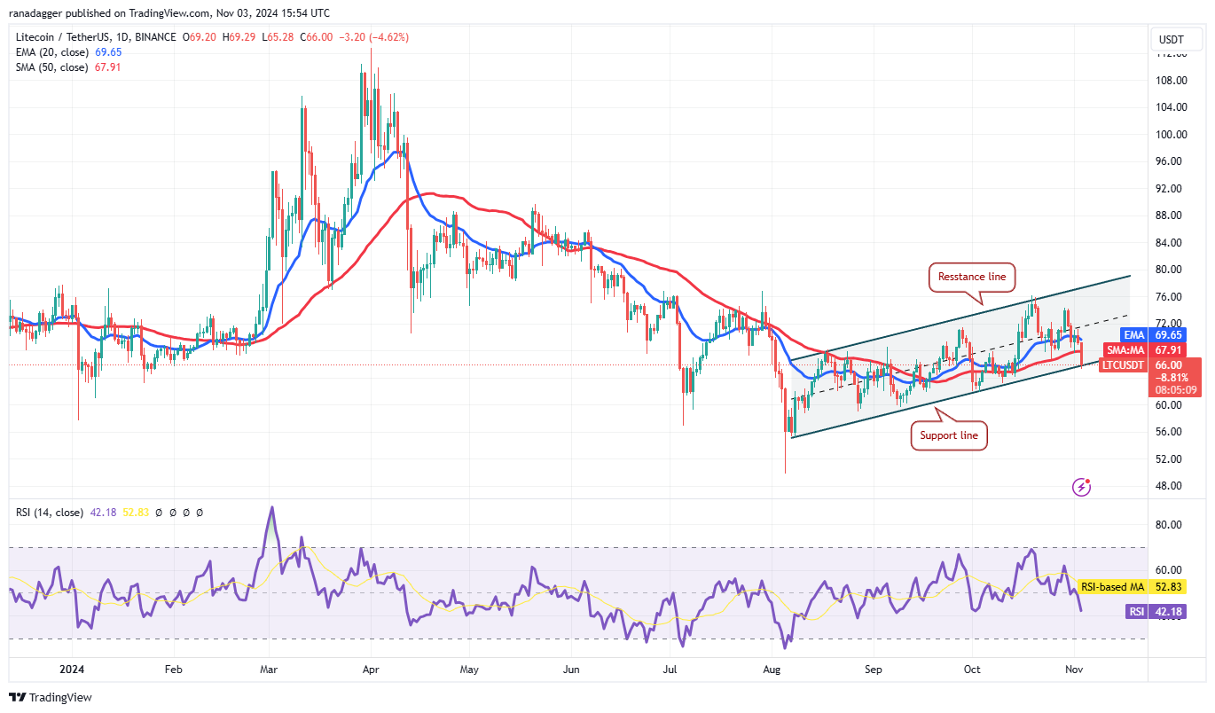 比特幣衝回6.9萬！分析師：「這4個幣」也站穩腳跟，本週可能大暴漲？