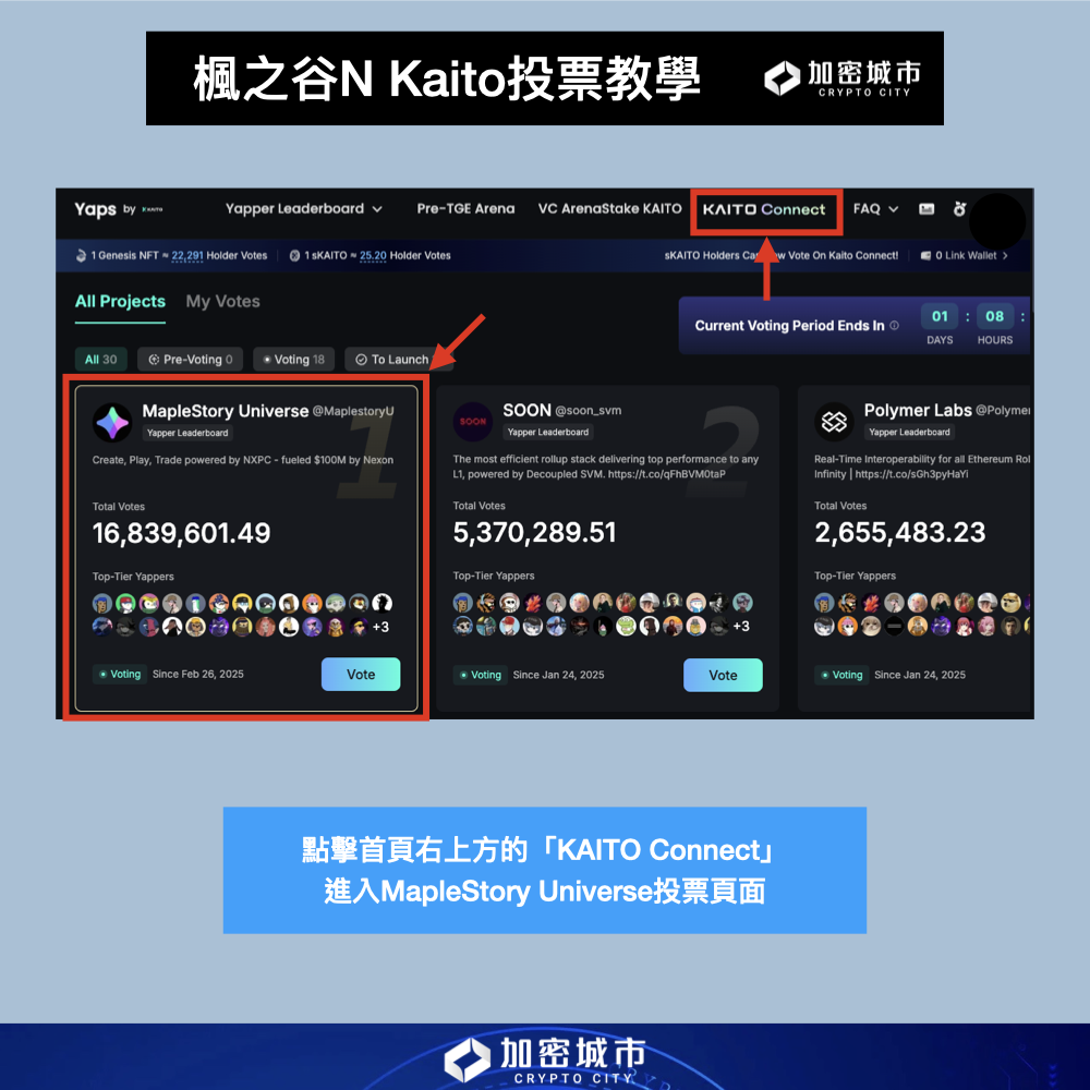 楓之谷N Kaito投票教學！期限只到這週五，參與就有