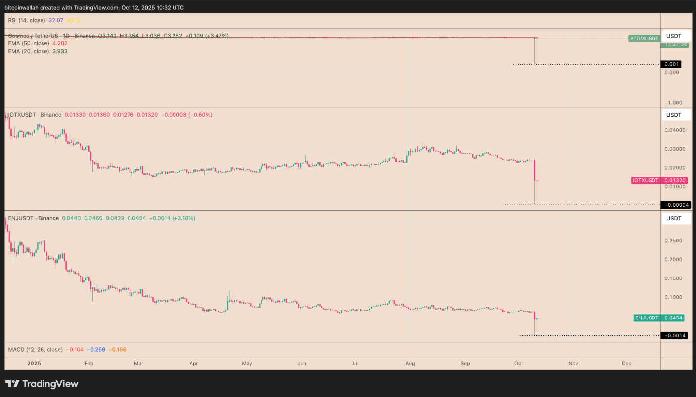 幣安部分山寨幣突然歸零！官方稱顯示錯誤，交易員則有別的看法
