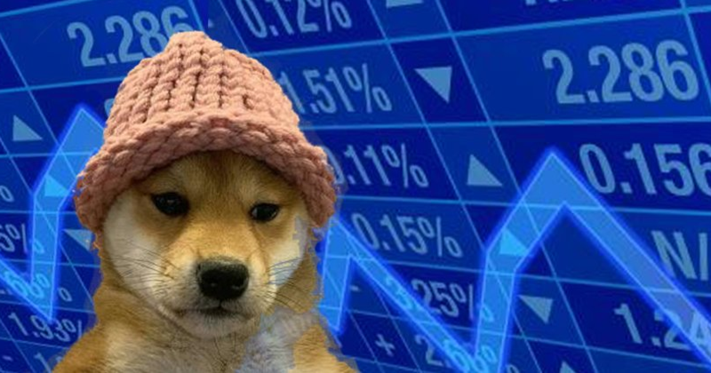 一週暴漲400%！巨鯨正在狂買「這種幣」，新迷因之王準備誕生？